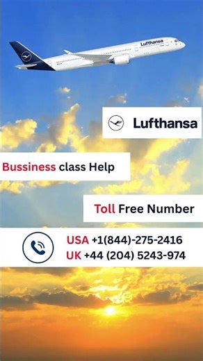 Lufthansa Airlines Business Class Travel Experience