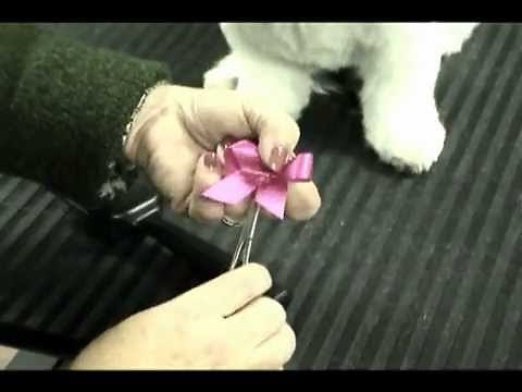How to place bows that actually stay in with Melissa Verplank