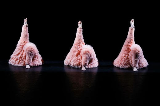 Tutu, la danse de l’homme libre