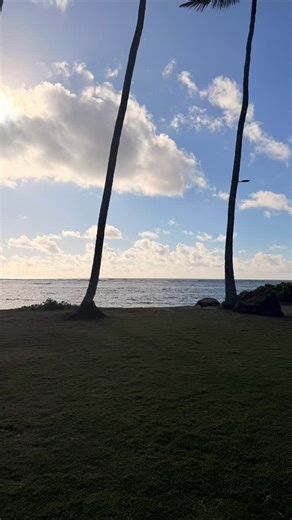 First full mile ran since jun 25 and highest peak Vo2 max since 2019 🔥🔥 | Dave Holzwarth