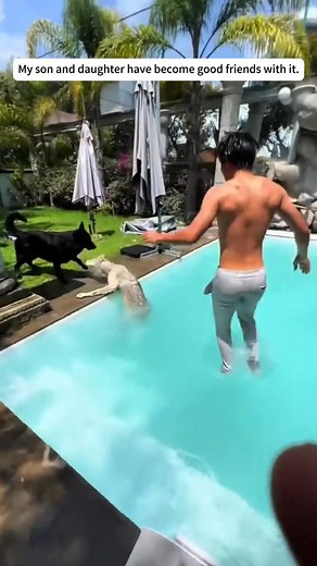 5.6K views · 278 reactions | A heartwarming story about saving a wolf❤️#wolf #animals #wholesome #puppies | Eric Hammer | Facebook