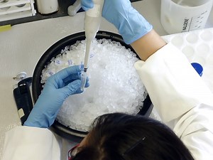 In Vitro Aggregation Assays Using Hyperphosphorylated Tau Protein