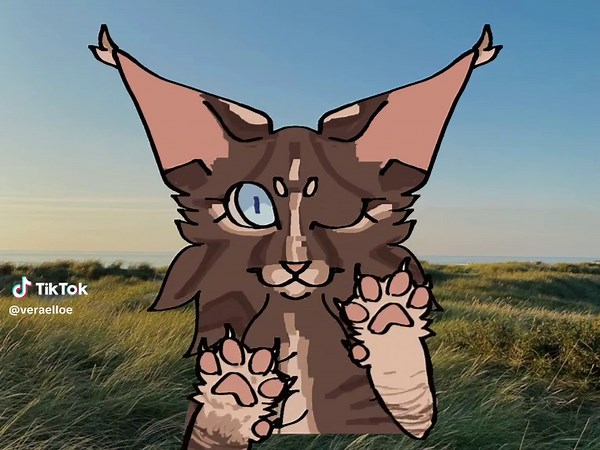 Creative Warrior Cats Animation with Original Characters