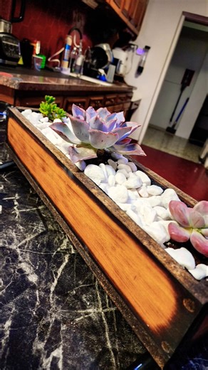 Planting 3 Echivaria's in my DIY Torched wood pot.