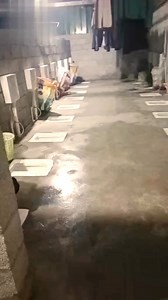 Unity toilet | Facts by M