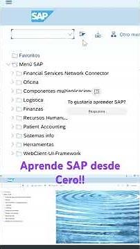 Aprendiendo SAP en Prime Institute