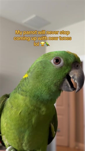 Talking Parrot Brody Sings Hilarious Tunes