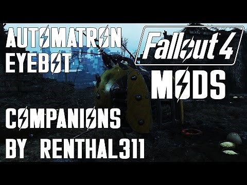 Automatron EyeBot Companions