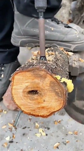 Drilling Precise Holes In Wood Logs With Professional Spade Bits For Custom Woodworking