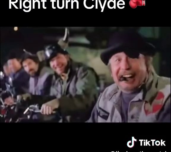Right turn Clyde 🥊 #anywhichwayyoucan #anywhichwaybutloose #clinteastwood #clyde #movieclips #nostalgia #fyp