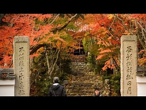 First time in japan trip to Kyoto //travel vlog walking streets of Kyoto//