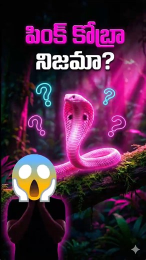 Pink Cobra Real aa 🐍 Albino Snake Truth #youtubeshorts