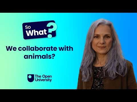 OU Research on Animal Technology: So What...? Do Dog Buttons Really Work?