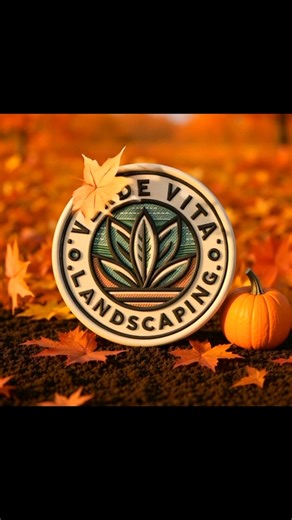 Deep Fall Cleanups Are Here! Now is the best time of year for a deep fall cleanup, trimming back overgrown hedges, removing leaves, and getting your yard ready for winter. Verde Vita Landscaping 512-629-8223 Follow us on all platforms to see more transformations and seasonal updates! #VerdeVitaLandscaping #fallcleanup | Verde Vita Landscaping | Facebook