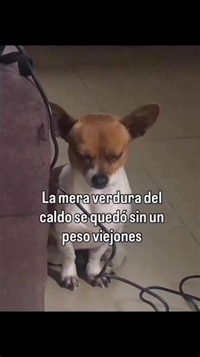 Mujeraldia.com Río par no no llorar 😭 😂😅🫠 | El Rincón del Vago