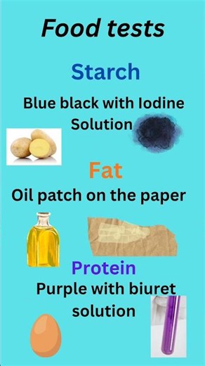 Food tests: Starch, Fat, Protein