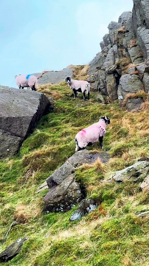 Afternoon hike up Coniston Old Man⛰️😊🌤️ #lakedistrict | Jake Abad
