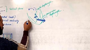 2.5K views · 391 reactions | Chest Leads...... For All lectures contact 03339316906 | Up Teaching Academy | Facebook