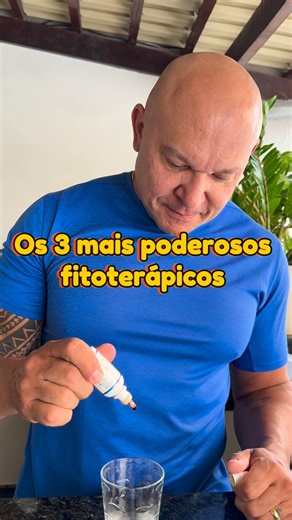 Diogo Deja on Instagram: "Benefícios dos 3 melhores fitoterápicos 👇👇👇🌿 3 Fitoterápicos Poderosos para sua Saúde! ✨ Pinus pinaster | Feno-grego | Curcumina ✨ Você já ouviu falar desses três? A ciência tem olhado com MUITA atenção para eles — e os resultados são incríveis! Olha só 👇 ⸻ 🌲 PINUS PINASTER (Pycnogenol®) 1. Antioxidante potente 2. Melhora circulação e varizes 3. Apoio ao coração 4. Ajuda memória e foco 5. Anti-inflamatório natural 6. Protege a pele contra envelhecimento 7. Ajuda n