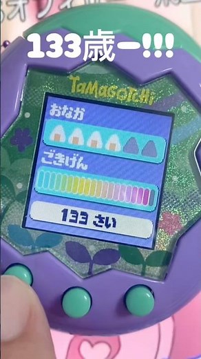 WHAT?! They're 133 years old now?! [Tamagotchi Paradise Papiyotchi] #Tamagotchi #tamagotchi
