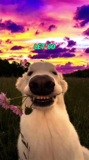 playing with Subscribers Part 4 . first lose #eFootball #Shorts #Gaming #EpicGoal #Viral