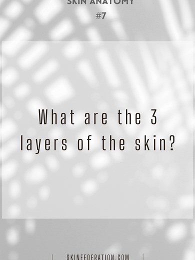 What are the 3 layers of the skin? Three layers of tissue make up the skin; 1 - Hypodermis is the bottom layer which is in contact with interior tissue. 2 - Dermis is the middle layer. 3 - Epidermis is the top layer which is exposed to the environment. Vulvapedia is a series of information useful for day to day care of #Vulva. For practical tips on how to better care for the vulva go to our