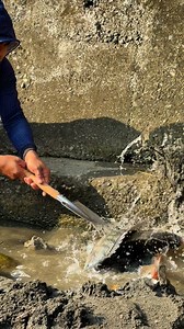 He made a trap hole and got surprised | Jacovtv