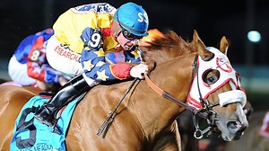 RVN's preview of Saturday night's Racing Challenge Championships - ready to view now! | RaceView Network