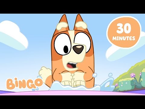 Bingo's Fun Frenzy! ⭐️ | Active Adventure with Bluey and Bingo | Bingo - Official Channel