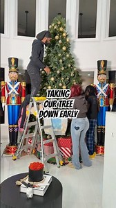 Taking our Christmas Tree down 2 weeks early 🎄