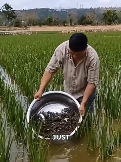 1.2M views · 32K reactions | Facts Wiki on Reels | Facebook