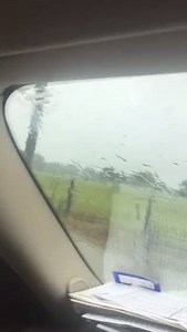 13K views · 510 reactions | Here is another update from Jim. This is...