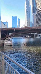 Beautiful Today 🌞🌻😊 | Visit Chicago