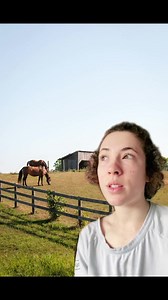 The truth about equine science research… it doesn’t only occur in a lab | Milestone Equestrian