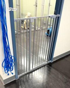 World's smiliest dog  | Filmi Spark | Facebook