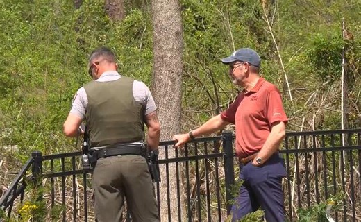 Falling trees along Natchez Trace pose danger, raising concerns
