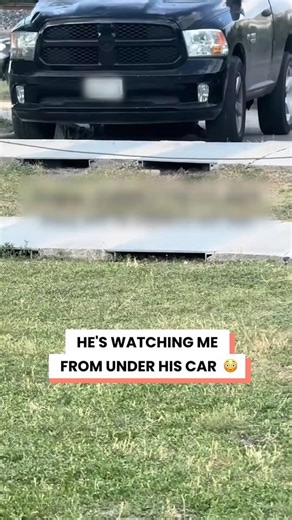 I realized I was being watched