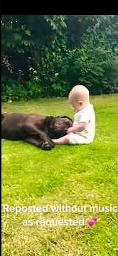 Mans Best friend? BABIES BEST FRIEND! 🐶👶