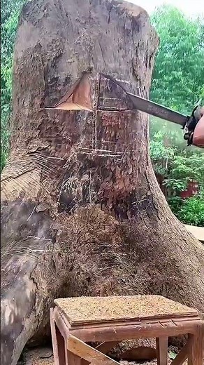 Carving a massive tree stump with a handsaw and a chainsaw to create a detailed wood sculpture