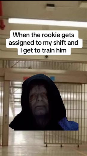 Training a Rookie Correction Officer on My Shift