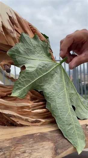 #Wood Carving Art #Root Carving Art #Let's Play with Wood #Home Decor Collection