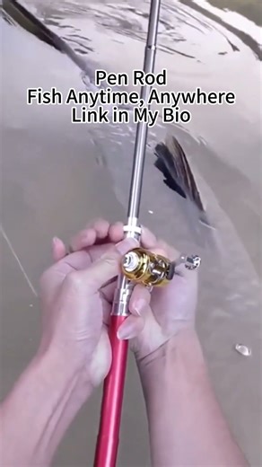 Pen Fishing Rod Test | Does It Really Work? #reeffun