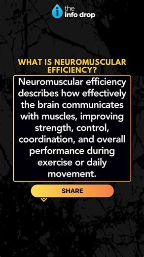 What is Neuromuscular Efficiency? #theinfodrop #shorts