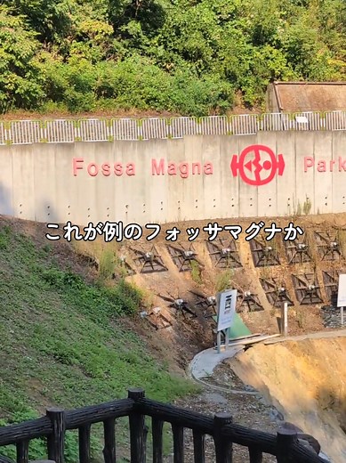 ホッサマグナの魅力と違いを探る