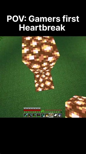 The ultimate Minecraft heartbreak 😭💔 #minecraft
