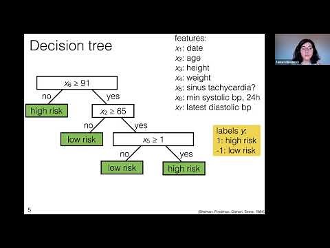 MIT: Machine Learning 6.036, Lecture 12: Decision trees and random forests (Fall 2020)