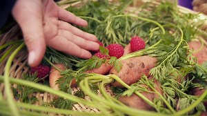 Planting a garden with your children is a great way to teach them about nature and the food that they eat! In this short clip, Dr. Scott from Dinosaur Train talks about planting and enjoying gardens at home and in your community. Watch all new episodes of Dinosaur Train this week at pbskids.org or anytime, anywhere on the PBS KIDS Video app. | PBS KIDS