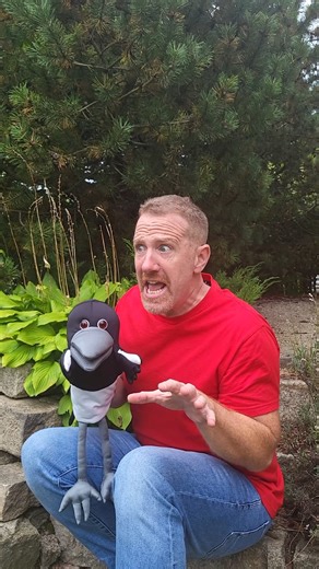 2.4K views · 39 reactions |  Halloween got Steve hiding under the covers! Watch our spooky new story —if you dare… ️ 李NEW video OUT NOW on our English YouTube channel!李 Link: https://youtu.be/DjsF6Fkfeh4 | Steve and Maggie | Facebook