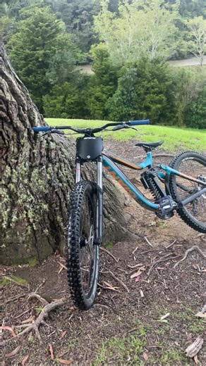 yourlocalglory (@yourlocalglory)’s videos with som original - gui