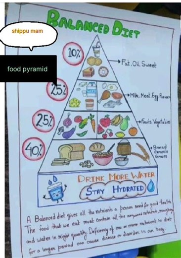 balanced food pyramidHome science..📚